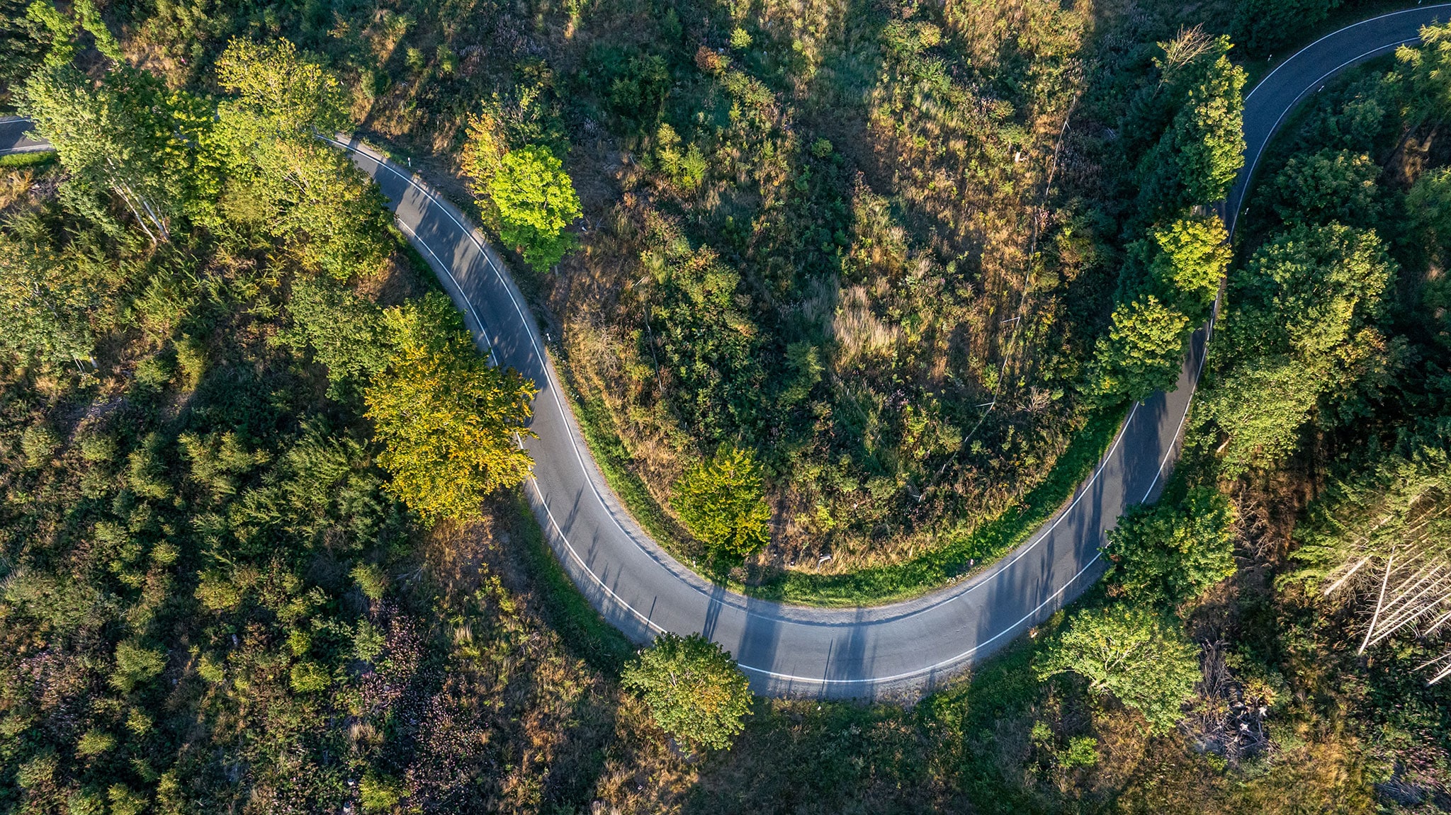 Eine kurvenreiche, gebogene Straße führt durch ein Waldgebiet mit grünen Bäumen und Sonnenlicht, von oben betrachtet. Die Straße macht eine scharfe Kurve, umgeben von dichter Vegetation und Schatten.